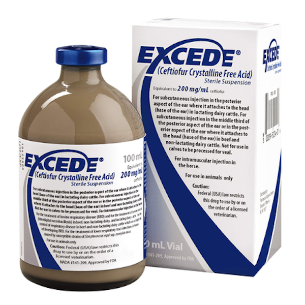 Excede 200mg/ml サスペンション 馬、牛用