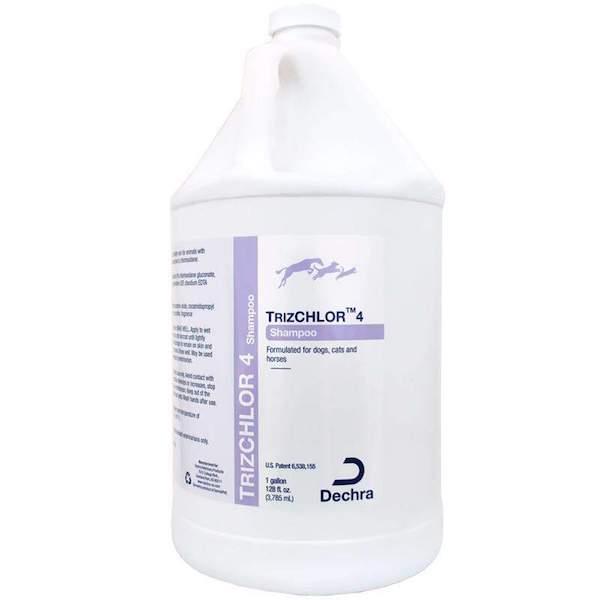 TrizChlor 4 Shampoo 4% Chlorhexidine