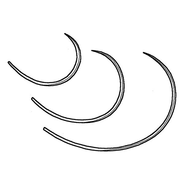 Cruciate Needles（テーパーポイント、6個セット）