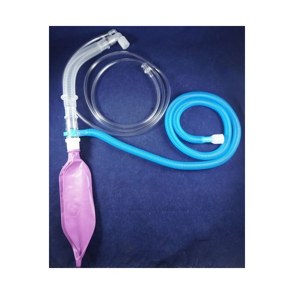 ジャクソンリース  3個セット