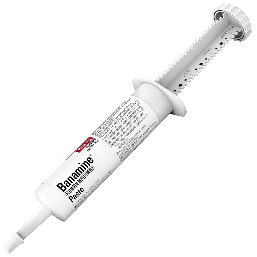 バナミン ペースト1500mg シリンジ　　30g