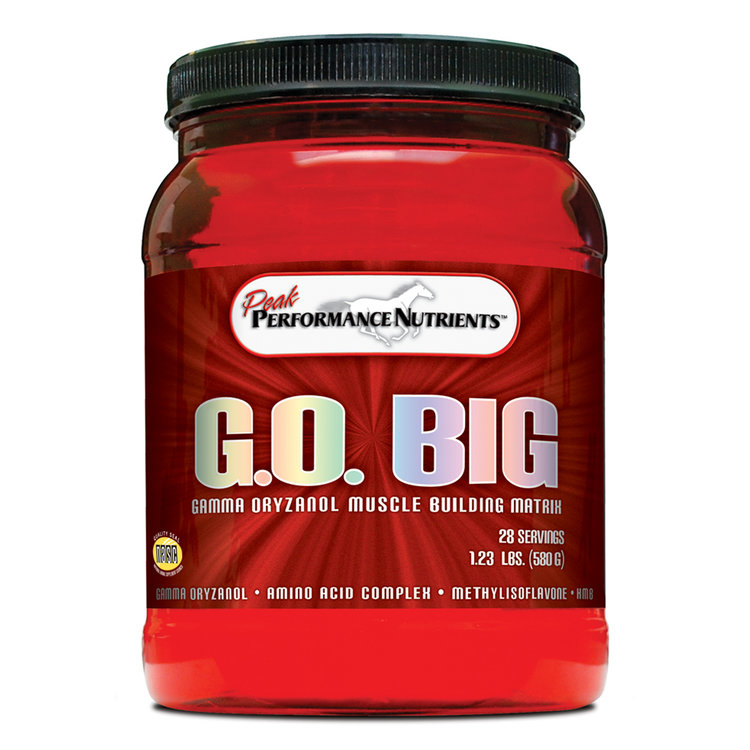 ゴービック 馬用