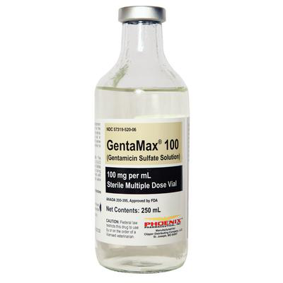 ゲンタマックス 注射液 100mg　 250ml