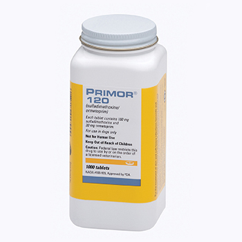 Primor  錠剤　250mg 500錠