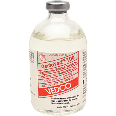 ゲンタマイシン硫酸塩　100mg/ML 100mL