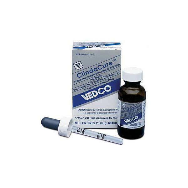 クリンダキュア 25mg/ML 20mL(経口液)