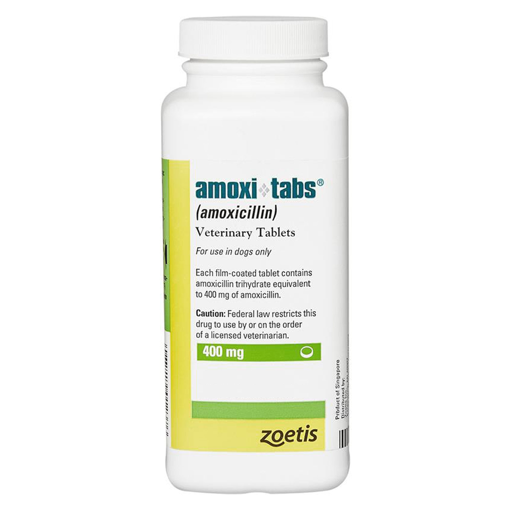 アモキシ(アモキシシリン)　500錠