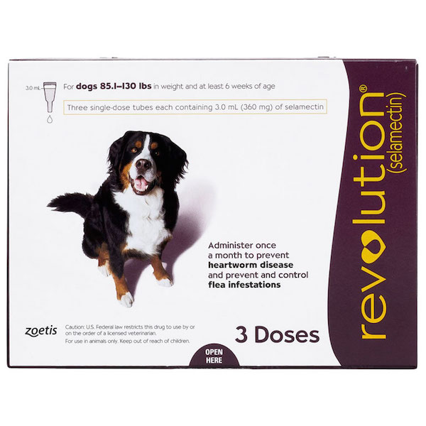 レボリューション