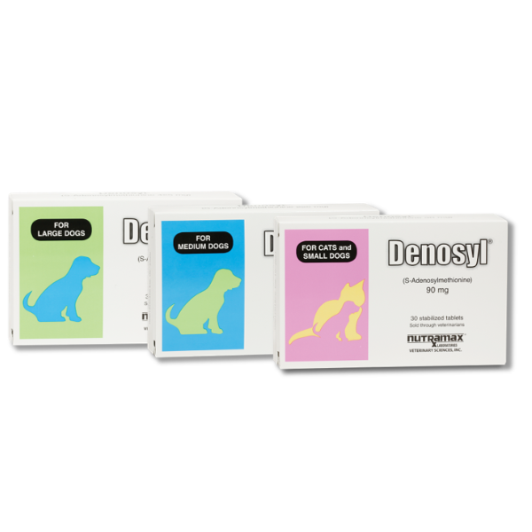 ディノシル　30錠