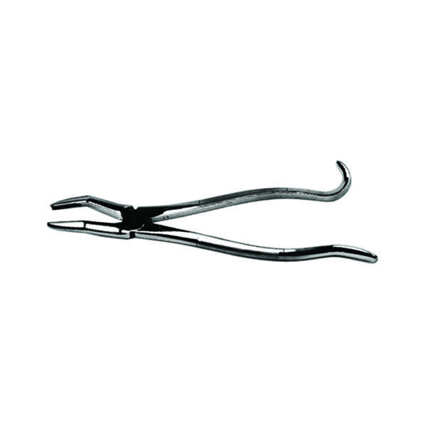 馬用狼歯用鉗子